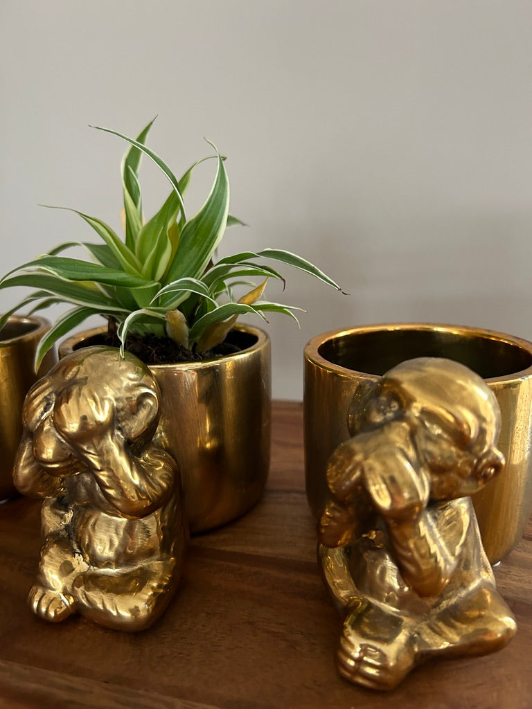 🐒 Set van 3 Gouden “Horen – Zien – Zwijgen” Aapjes | Plantenpotje of Theelichthouder